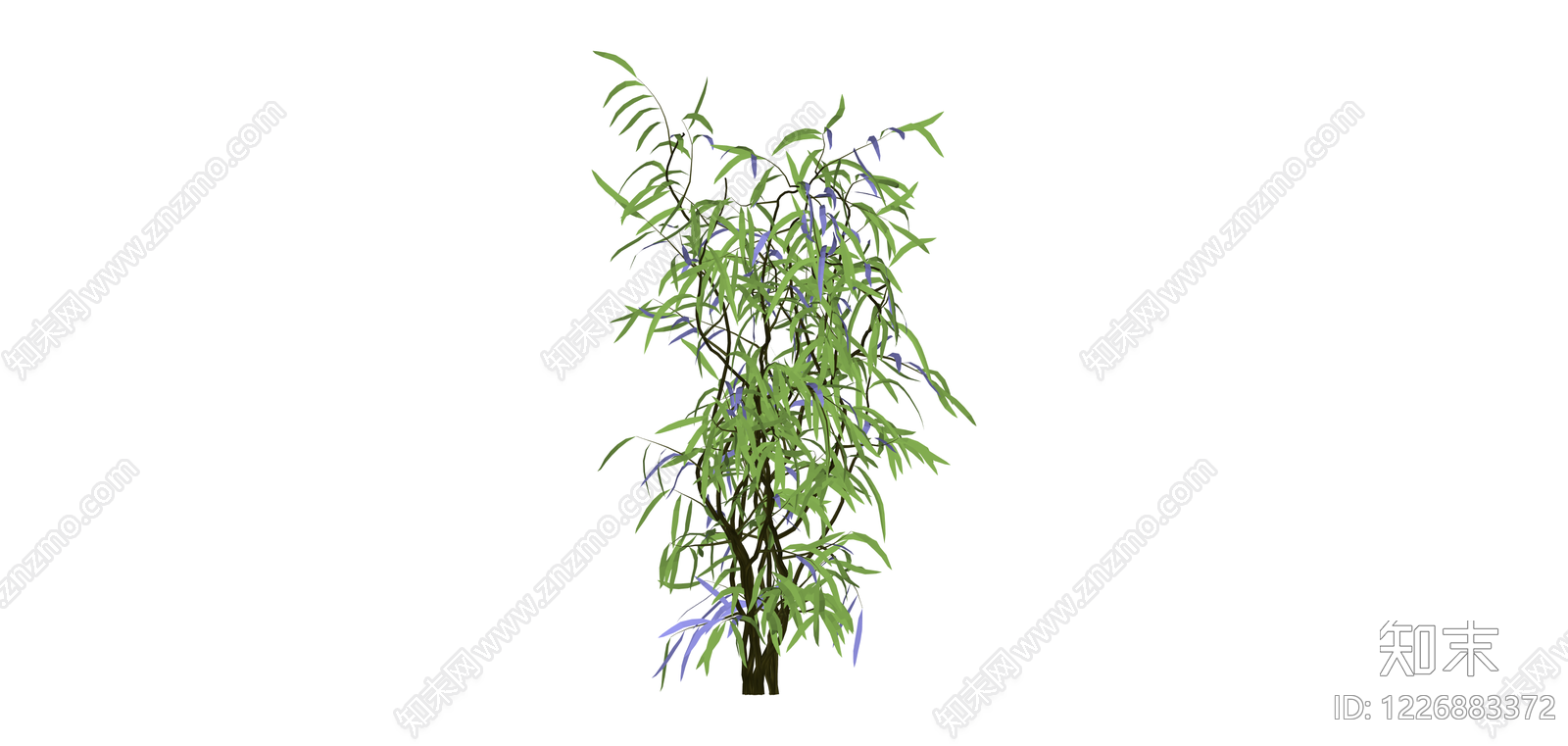 蓝花垂枝植物SU模型下载【ID:1226883372】