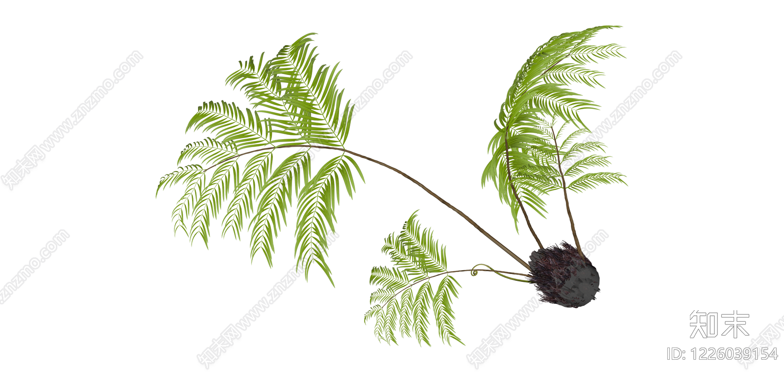 苏铁植物带盆组合SU模型下载【ID:1226039154】