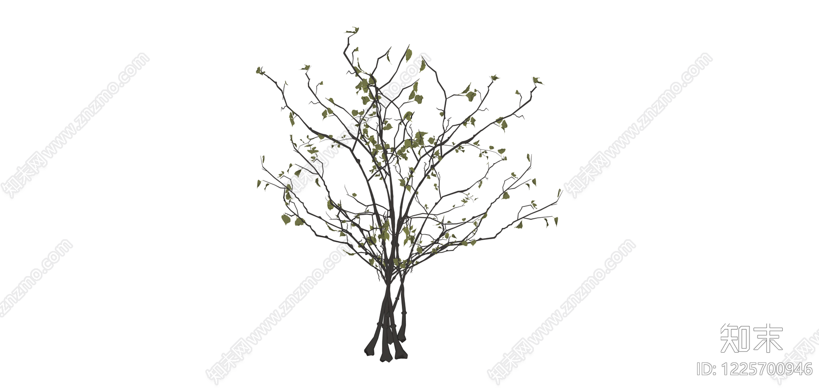 枯枝绿植模型SU模型下载【ID:1225700946】