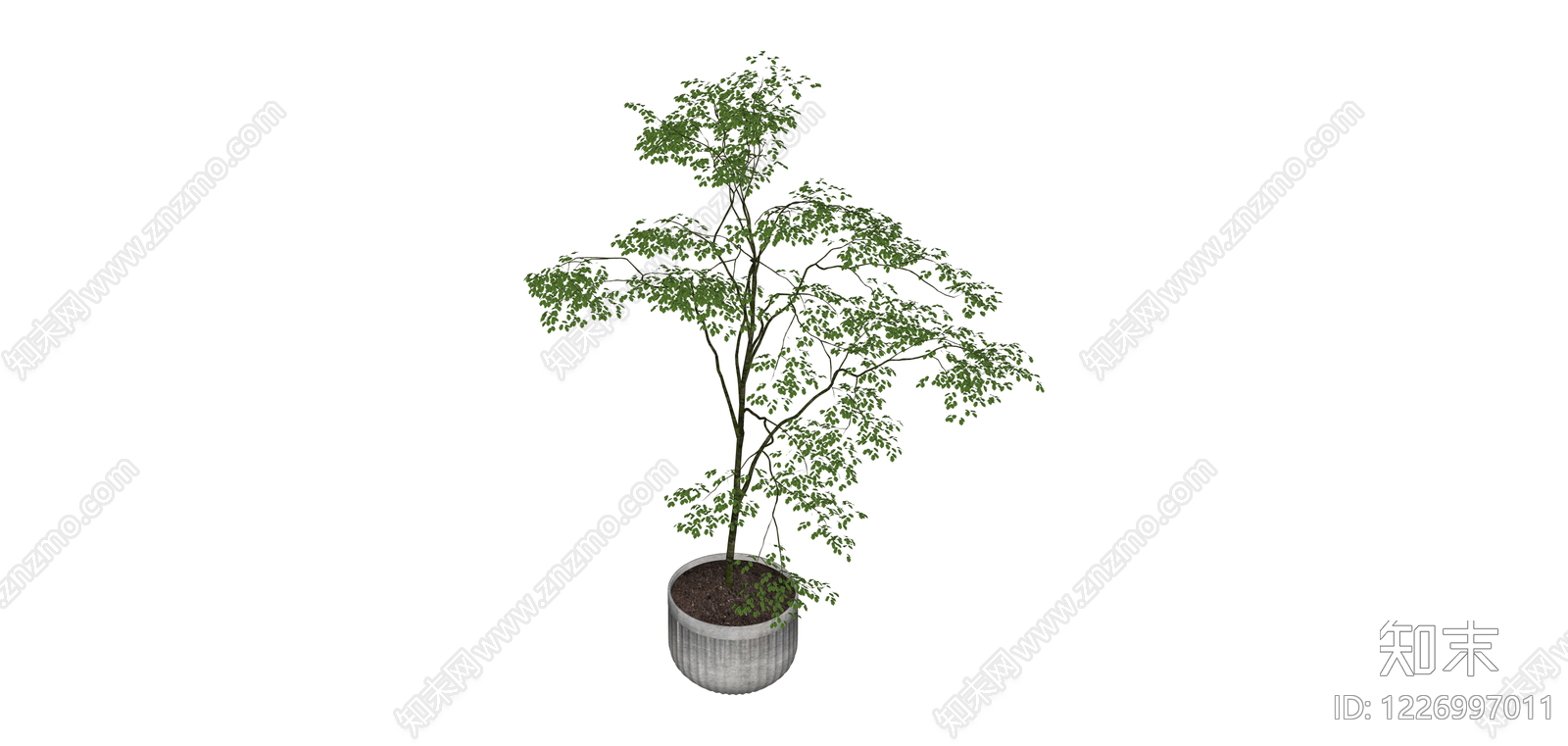 带盆绿植盆栽SU模型下载【ID:1226997011】