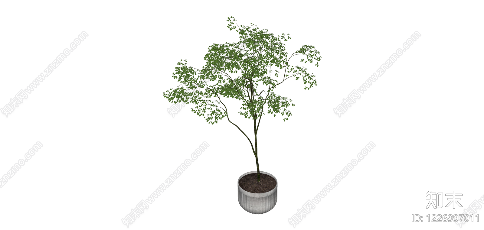 带盆绿植盆栽SU模型下载【ID:1226997011】