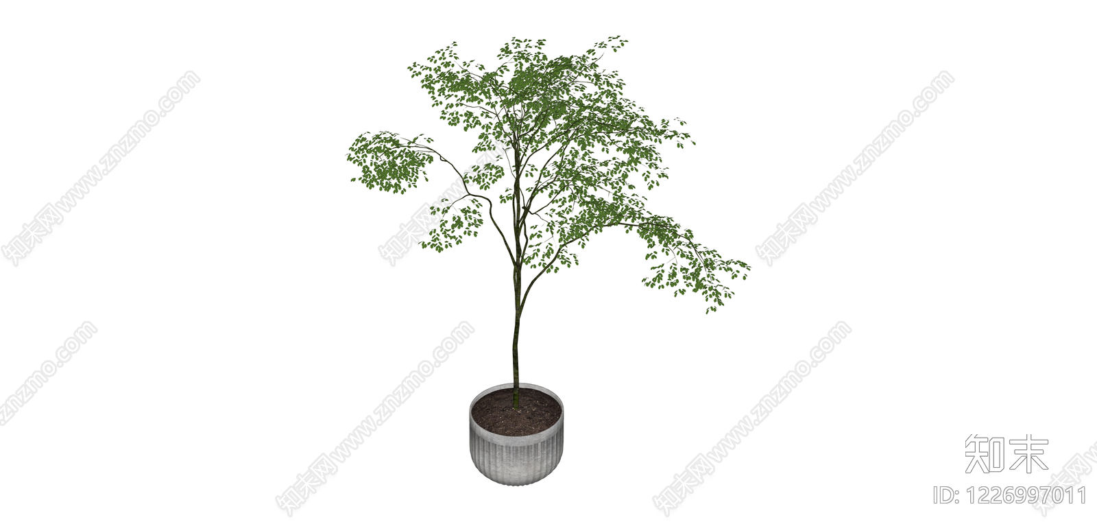 带盆绿植盆栽SU模型下载【ID:1226997011】