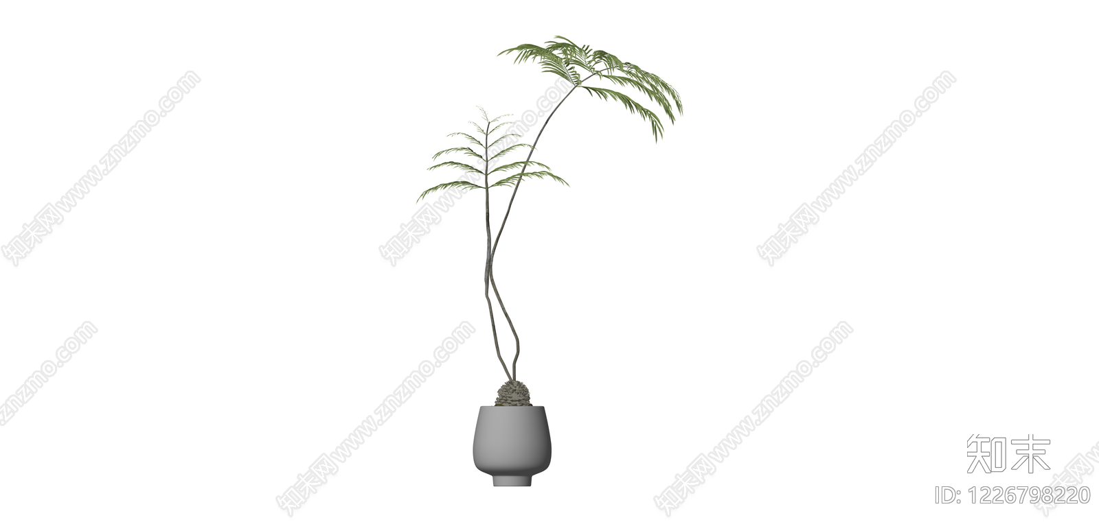 盆栽苏铁绿植SU模型下载【ID:1226798220】