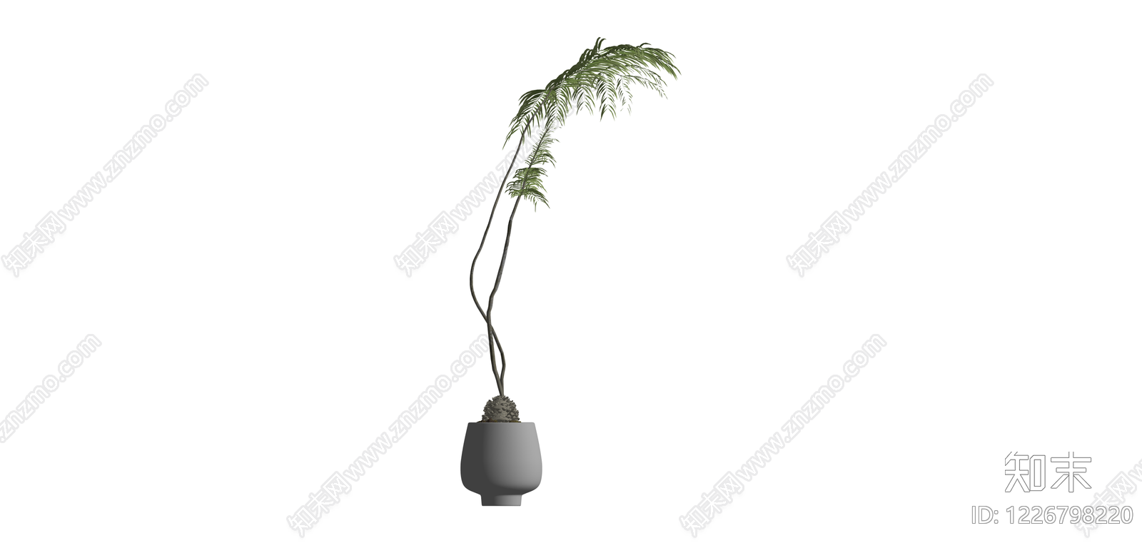 盆栽苏铁绿植SU模型下载【ID:1226798220】