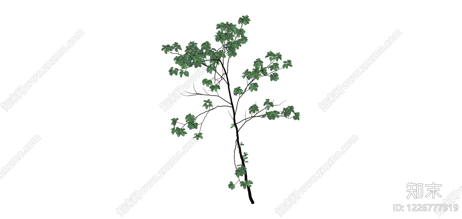 蓝花树木模型SU模型下载【ID:1226777919】