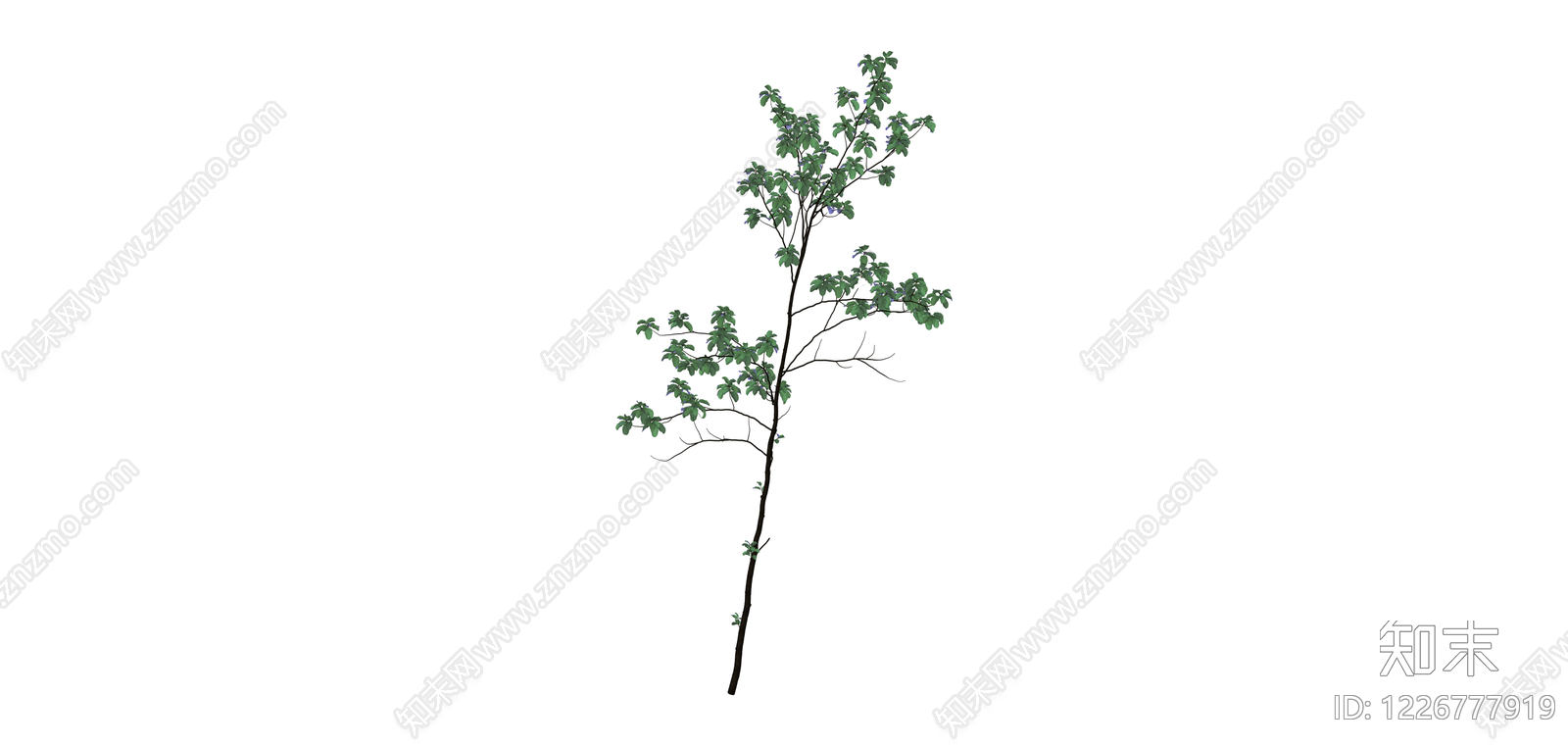 蓝花树木模型SU模型下载【ID:1226777919】