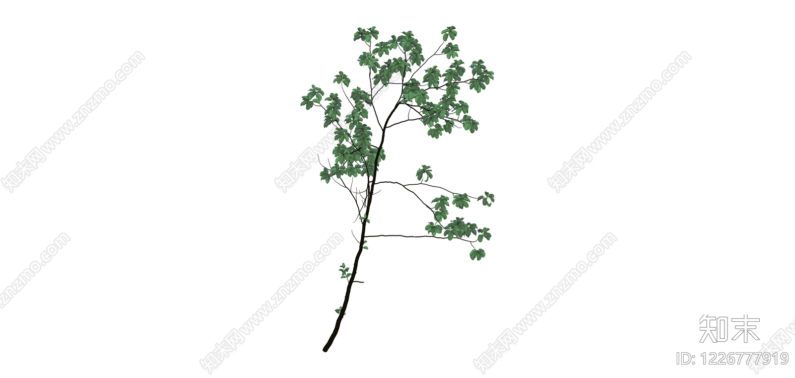 蓝花树木模型SU模型下载【ID:1226777919】