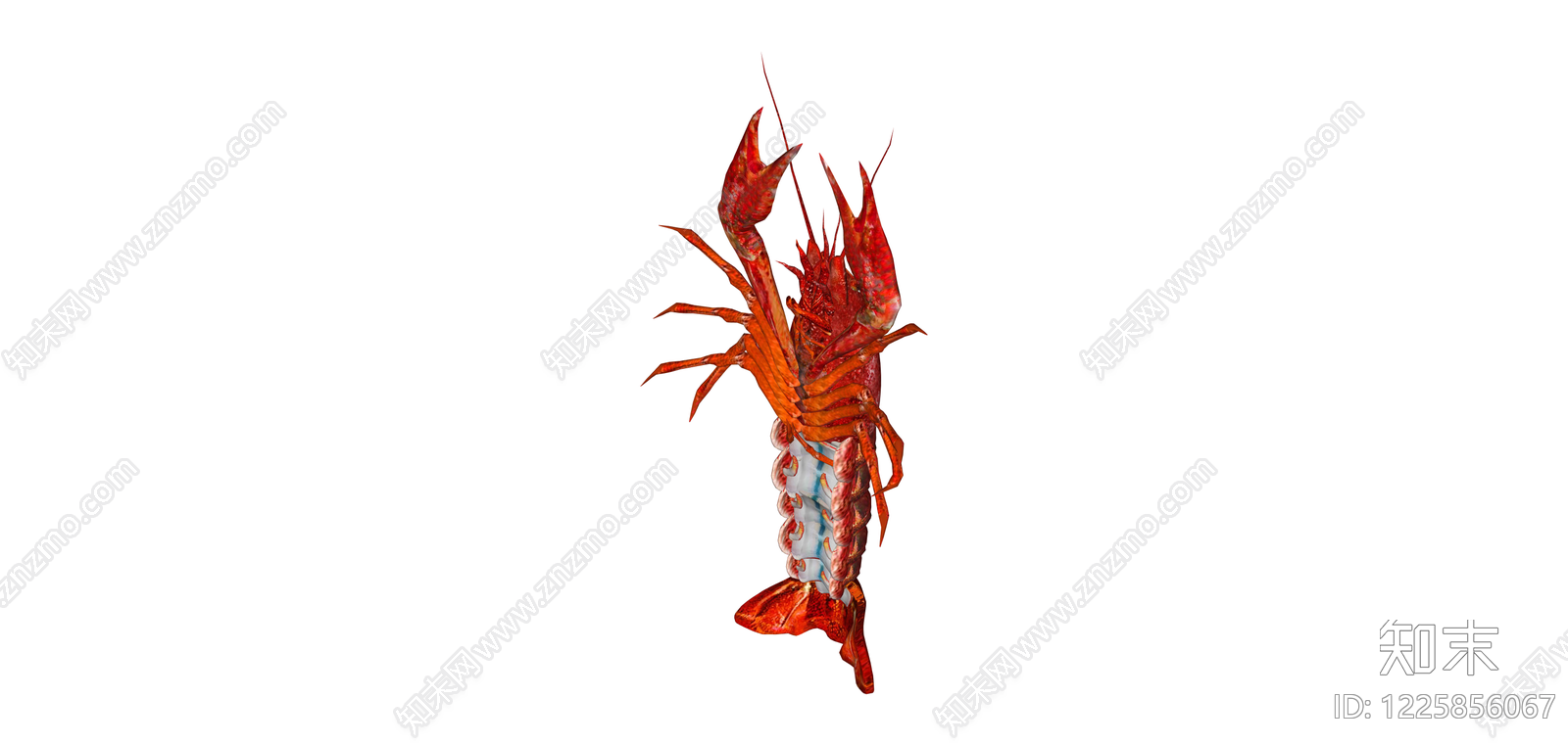 红色小龙虾模型SU模型下载【ID:1225856067】