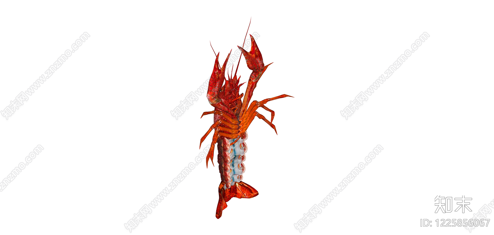 红色小龙虾模型SU模型下载【ID:1225856067】
