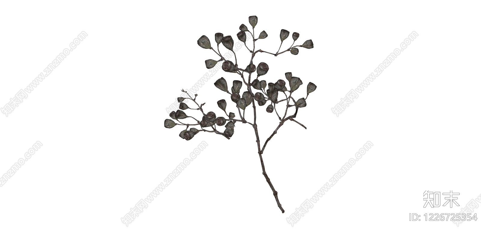 干燥植物果实枝条SU模型下载【ID:1226725354】