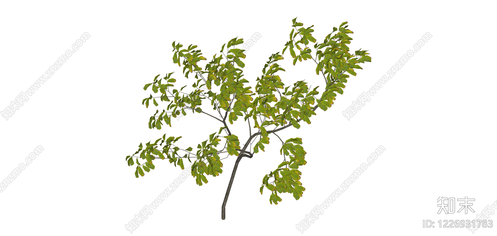 带盆绿植景观树SU模型下载【ID:1226931783】
