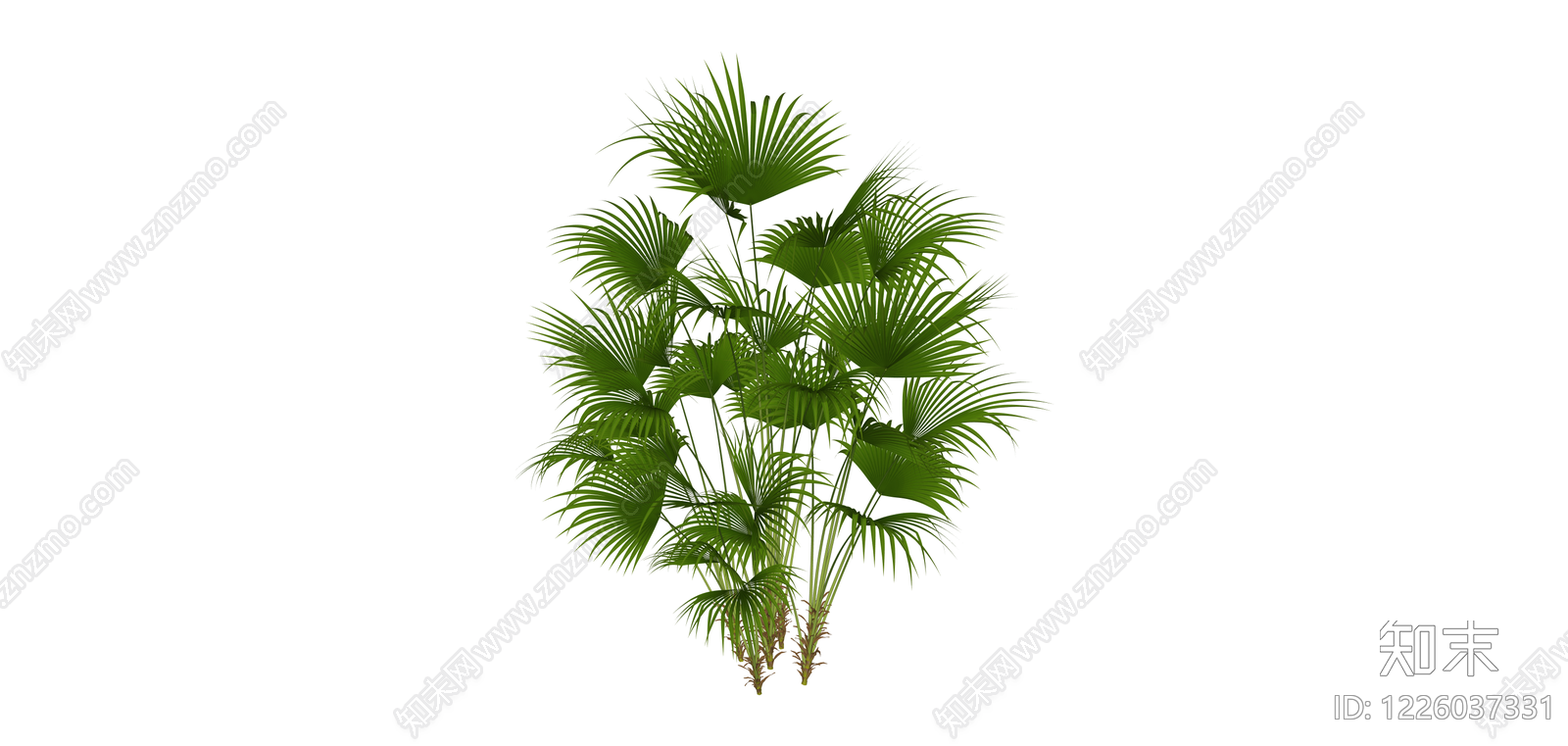 丛生散尾葵植物模型SU模型下载【ID:1226037331】