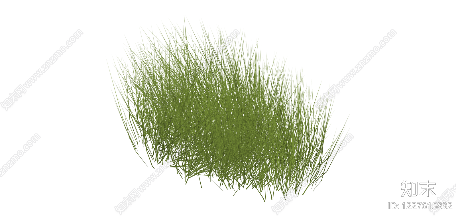 独立草丛绿植模型SU模型下载【ID:1227615832】