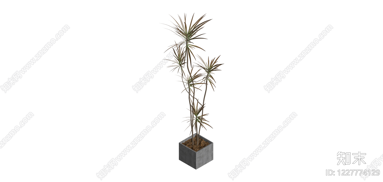带盆盆栽植物SU模型下载【ID:1227774129】
