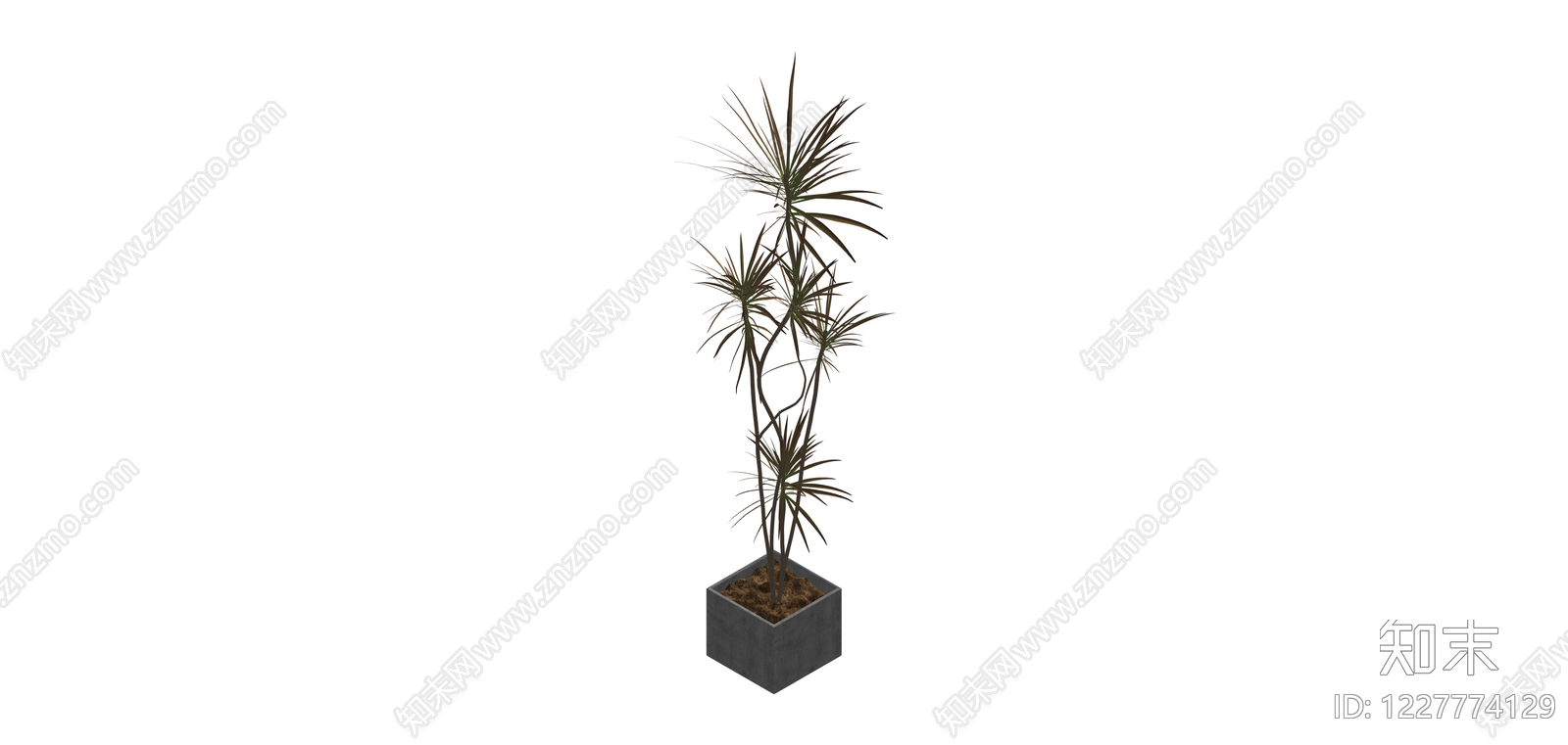 带盆盆栽植物SU模型下载【ID:1227774129】