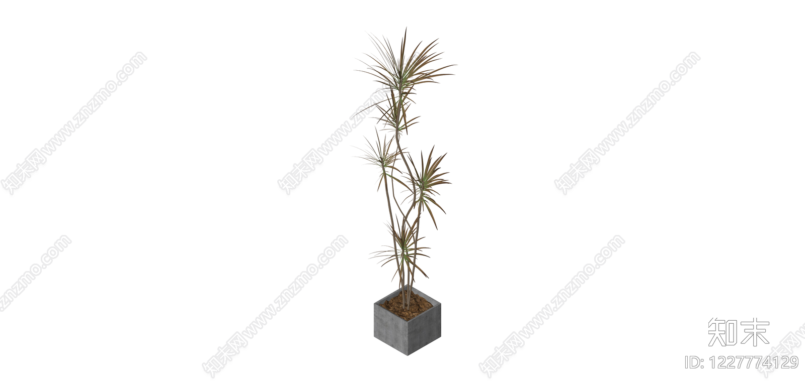 带盆盆栽植物SU模型下载【ID:1227774129】