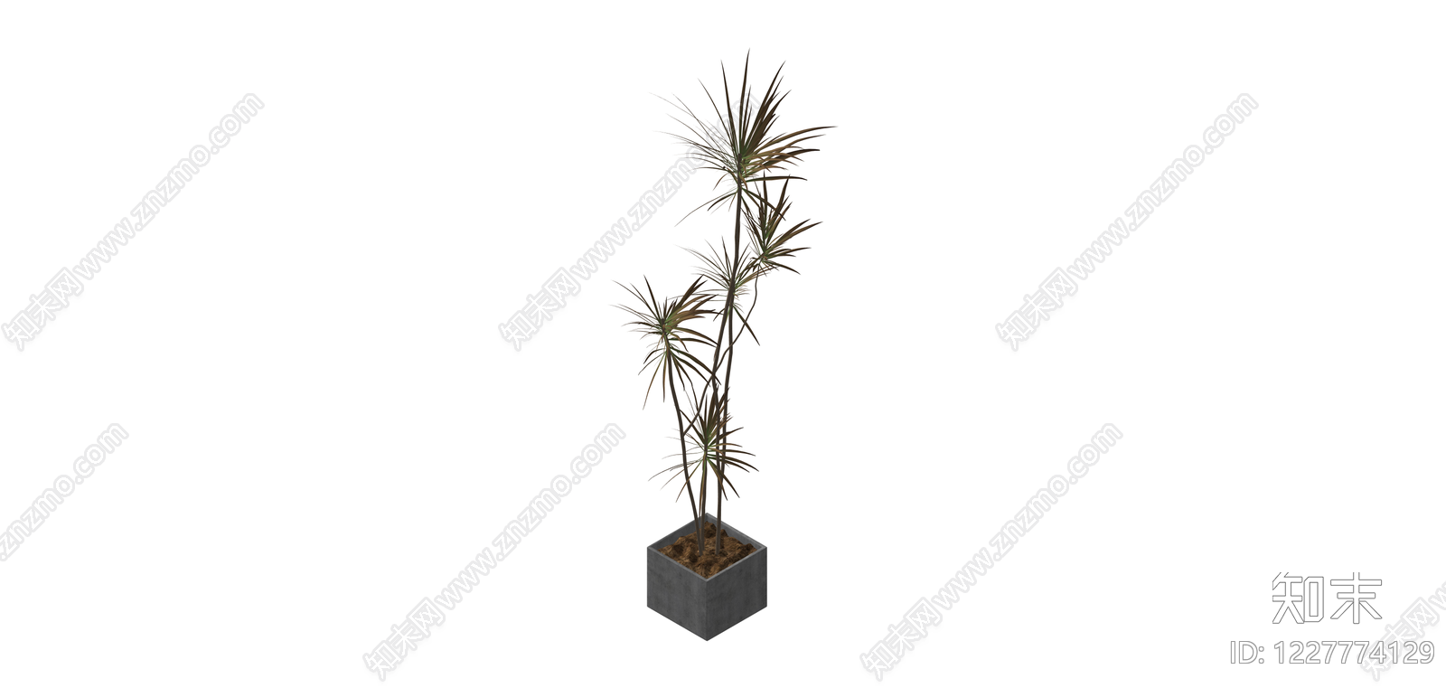 带盆盆栽植物SU模型下载【ID:1227774129】