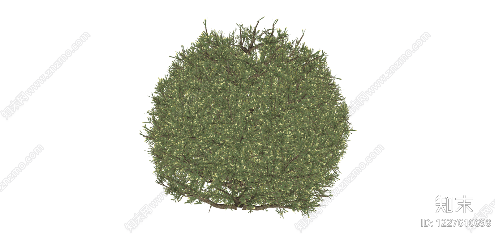 圆形景观绿植球SU模型下载【ID:1227610698】