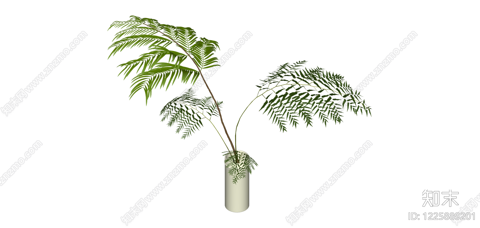 白色圆柱花瓶配绿植SU模型下载【ID:1225889201】