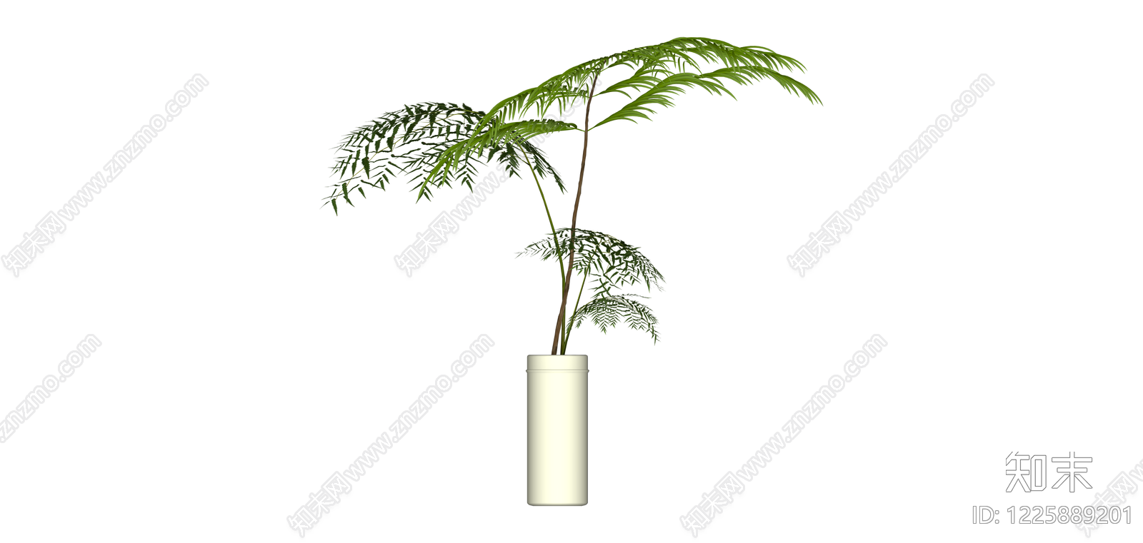 白色圆柱花瓶配绿植SU模型下载【ID:1225889201】