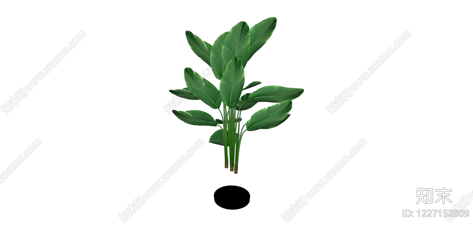 带盆绿植盆栽SU模型下载【ID:1227152809】