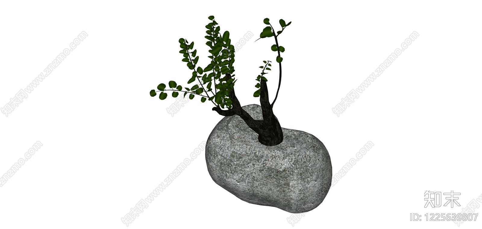 石质花盆盆栽植物SU模型下载【ID:1225639807】