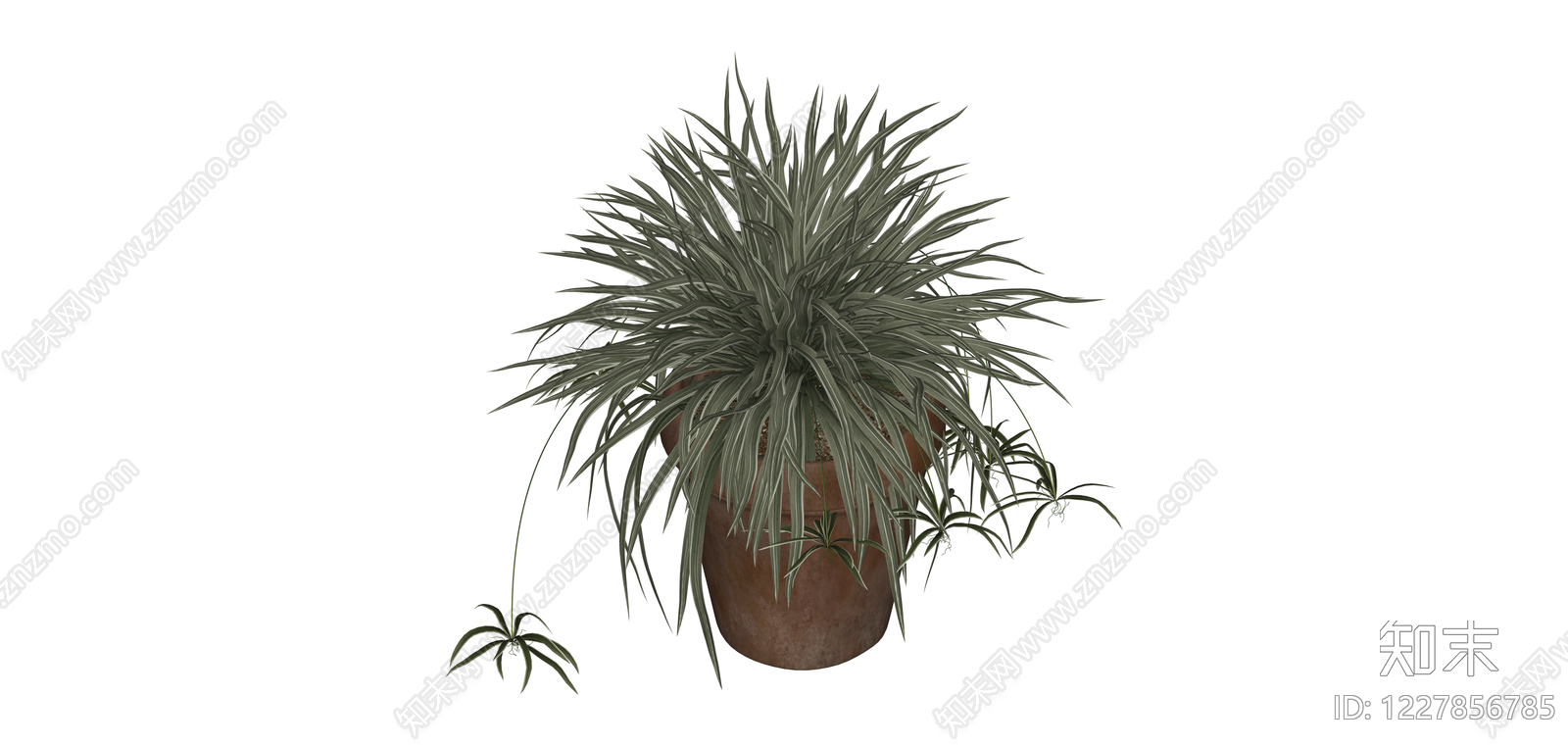 带盆吊兰盆栽SU模型下载【ID:1227856785】