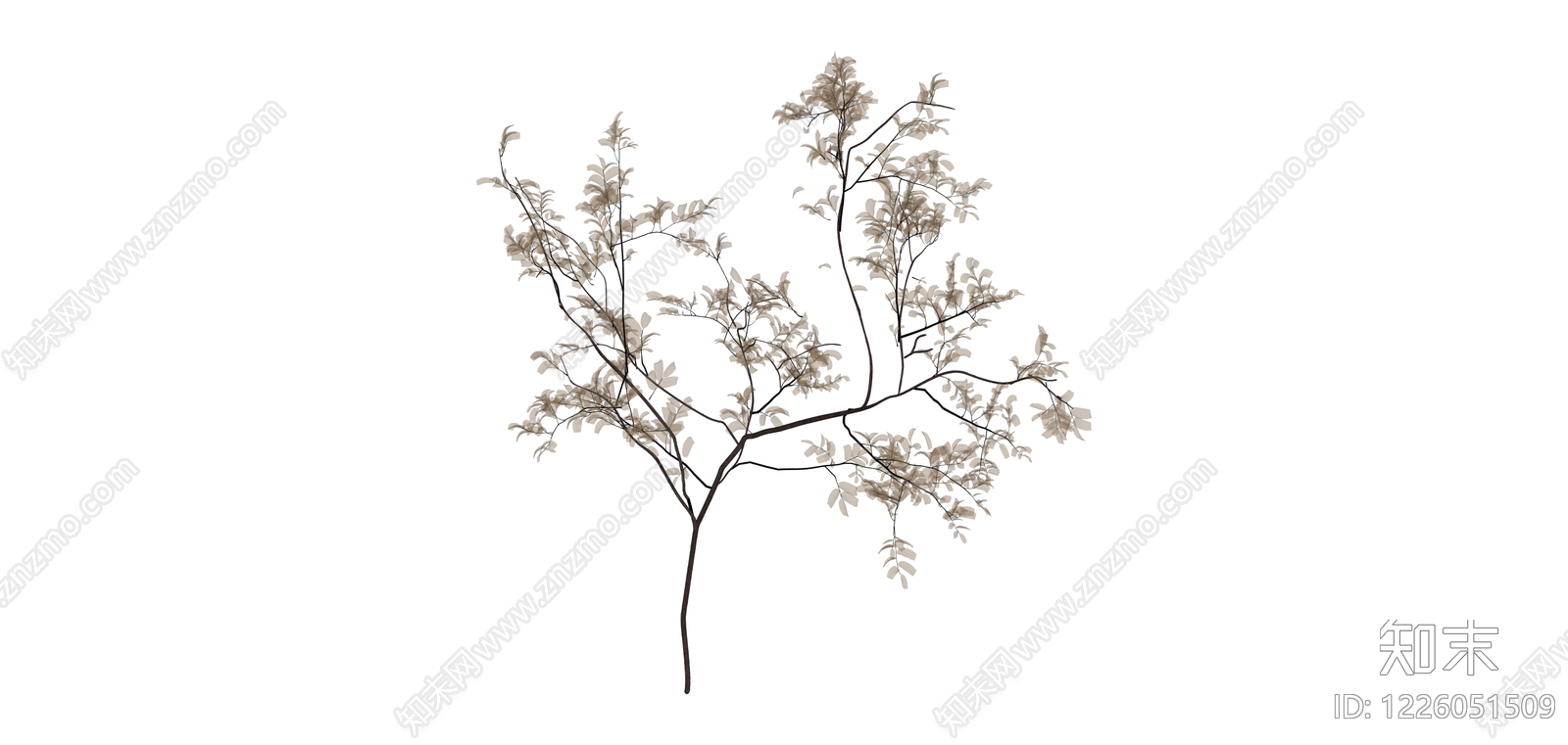 枯枝干花植物模型SU模型下载【ID:1226051509】