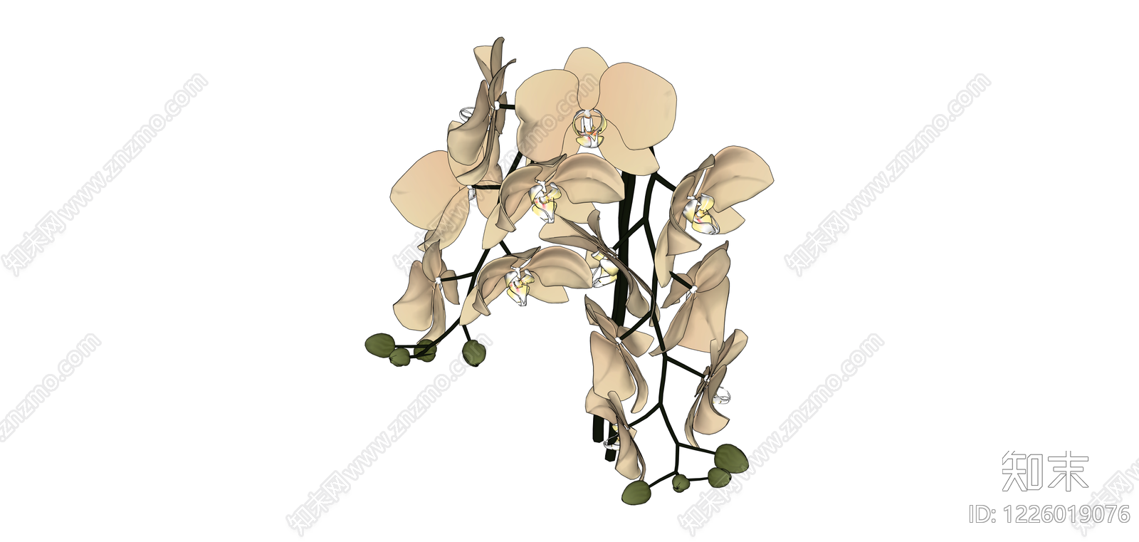 仿真蝴蝶兰盆栽SU模型下载【ID:1226019076】