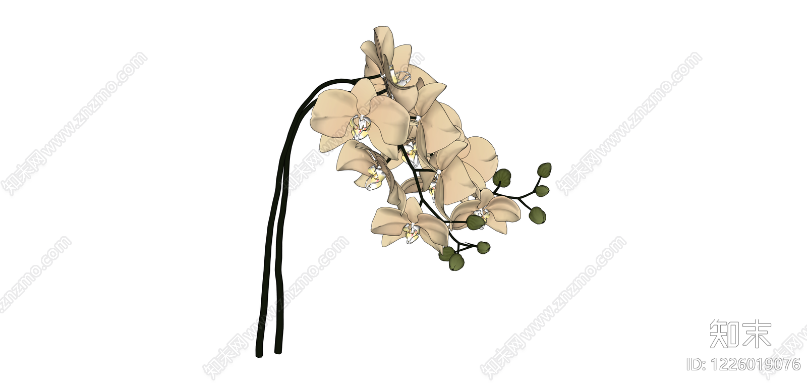 仿真蝴蝶兰盆栽SU模型下载【ID:1226019076】