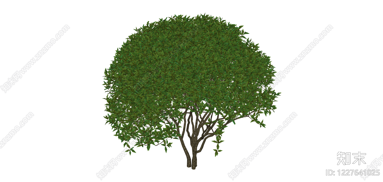 球形景观树木模型SU模型下载【ID:1227641025】
