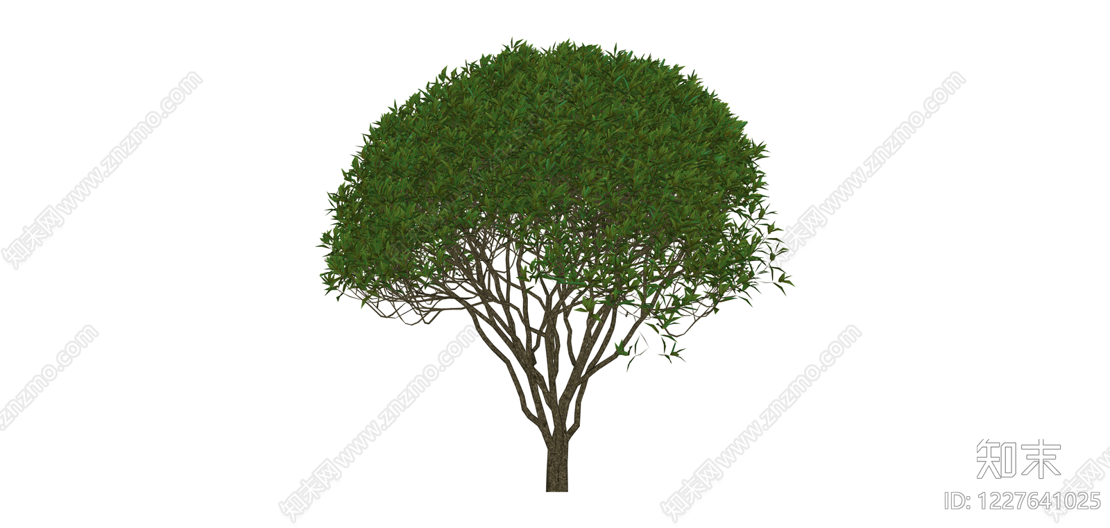 球形景观树木模型SU模型下载【ID:1227641025】