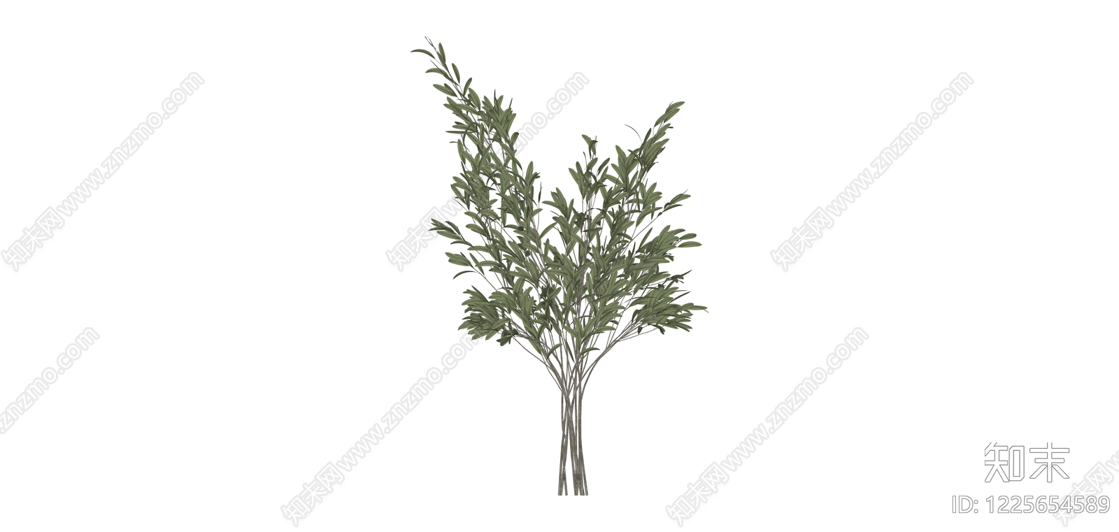 仿真橄榄枝植物SU模型下载【ID:1225654589】
