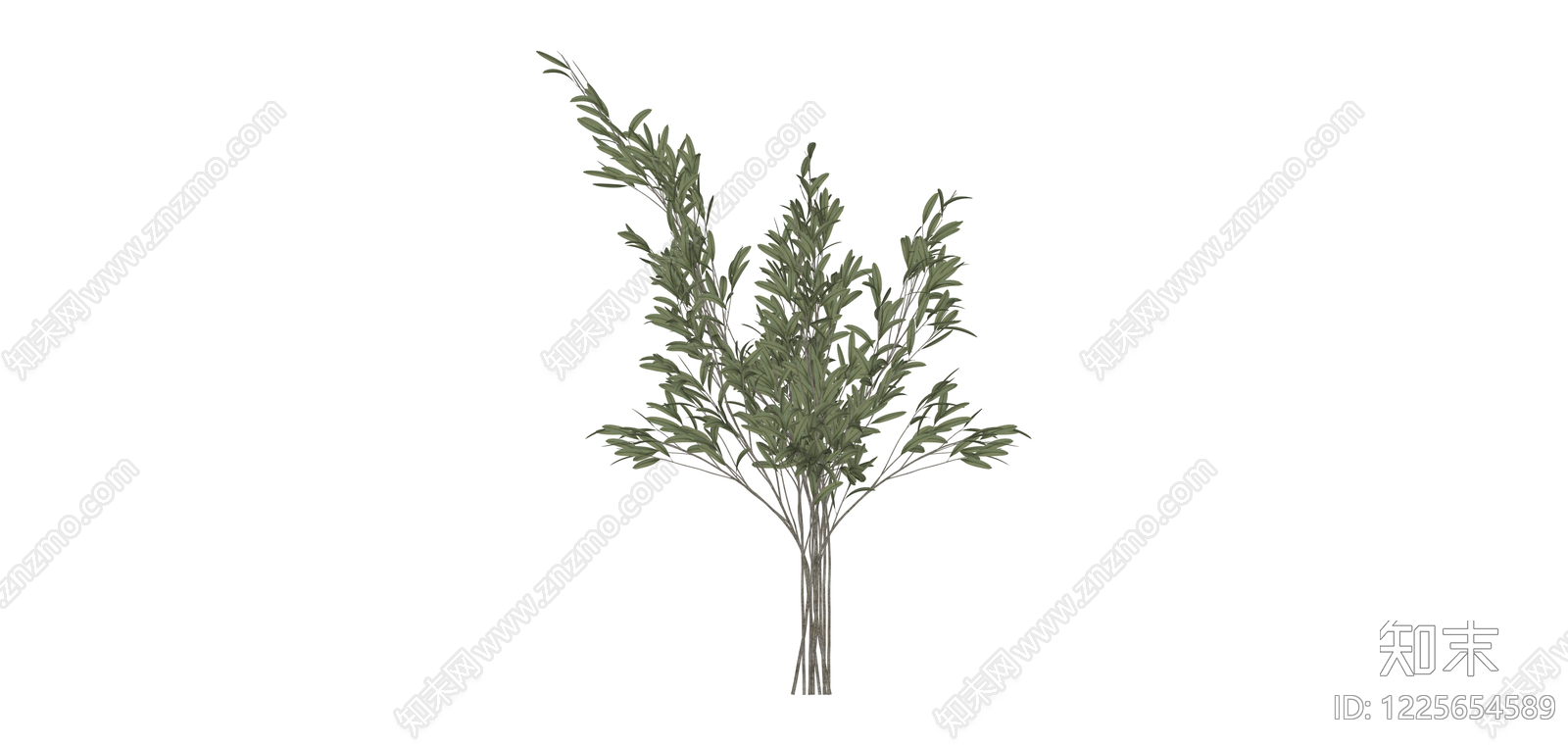 仿真橄榄枝植物SU模型下载【ID:1225654589】