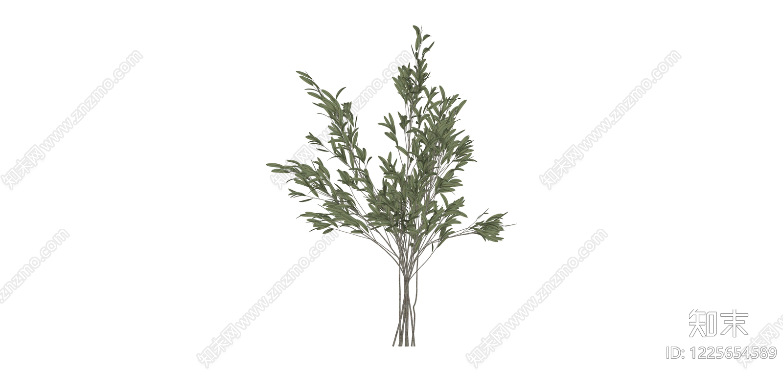 仿真橄榄枝植物SU模型下载【ID:1225654589】