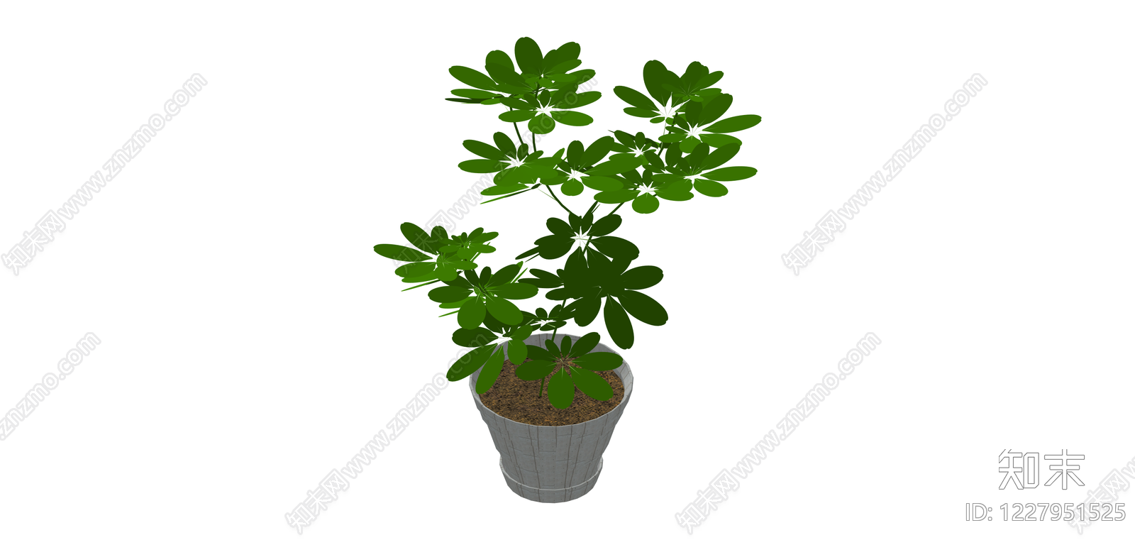 带盆绿植盆栽SU模型下载【ID:1227951525】