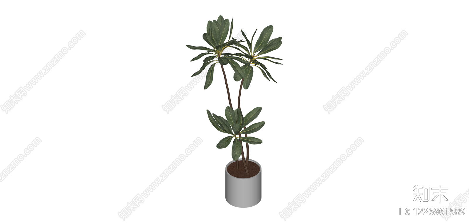 盆栽绿植SU模型下载【ID:1226961589】