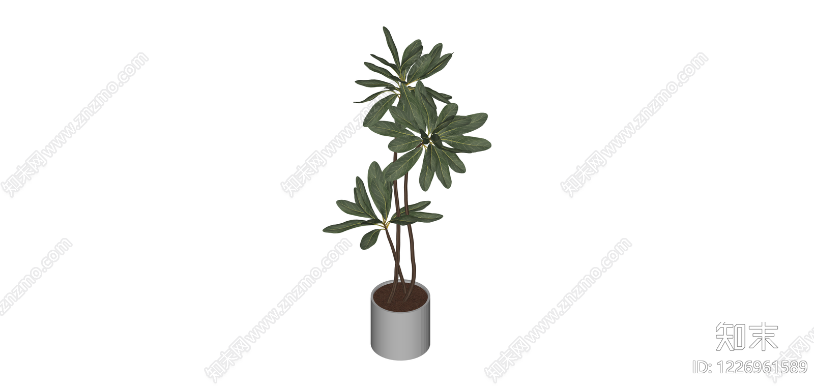 盆栽绿植SU模型下载【ID:1226961589】