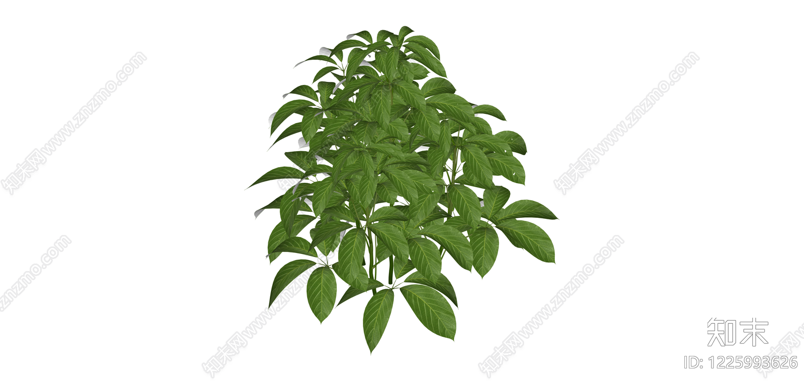 带盆绿色盆栽植物SU模型下载【ID:1225993626】