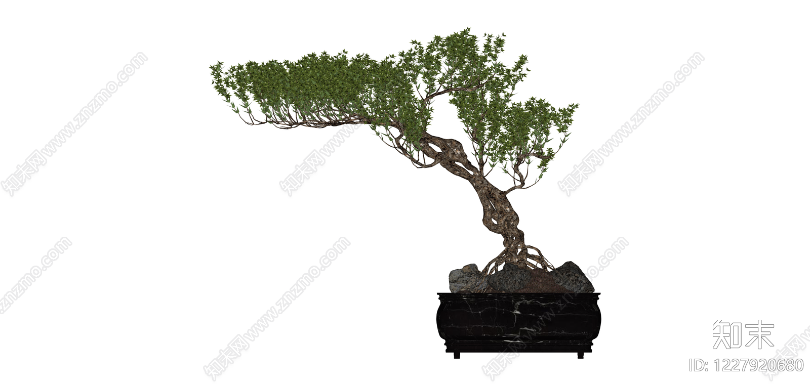 盆景盆栽模型SU模型下载【ID:1227920680】