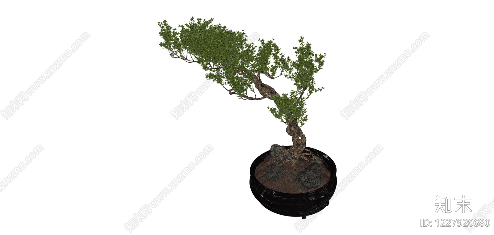 盆景盆栽模型SU模型下载【ID:1227920680】