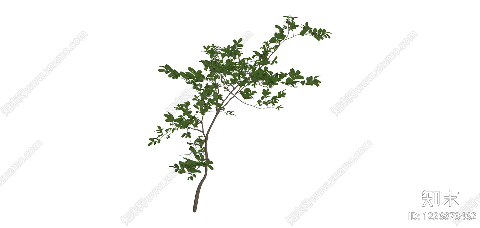 独立乔木模型SU模型下载【ID:1226873462】