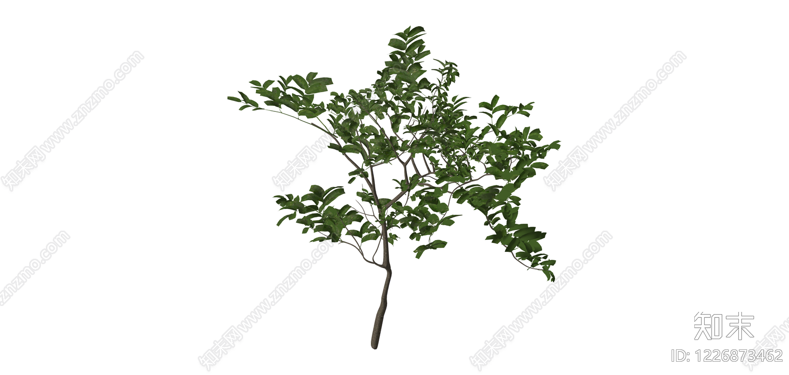 独立乔木模型SU模型下载【ID:1226873462】