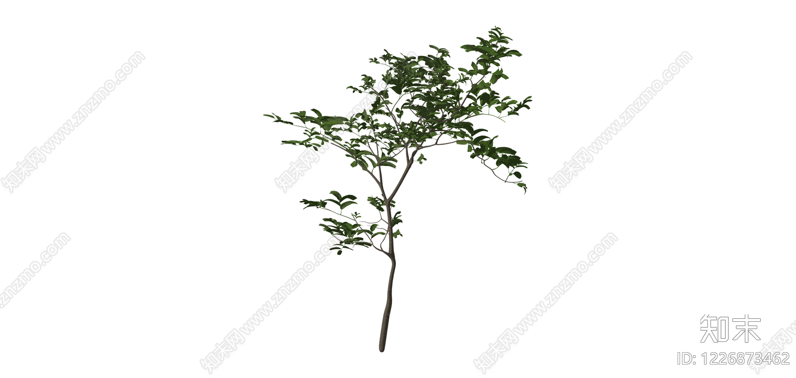 独立乔木模型SU模型下载【ID:1226873462】