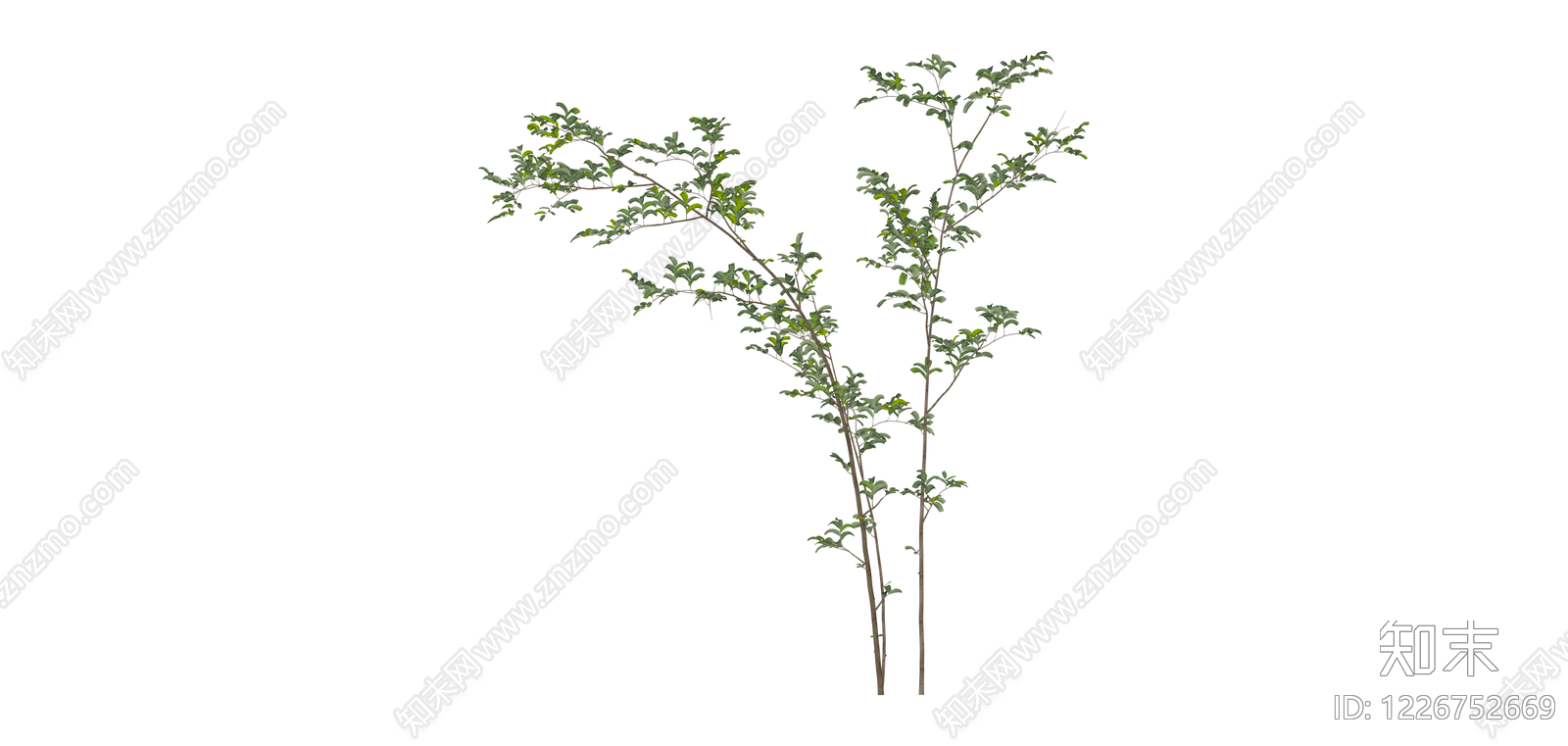 多杆丛生绿植SU模型下载【ID:1226752669】