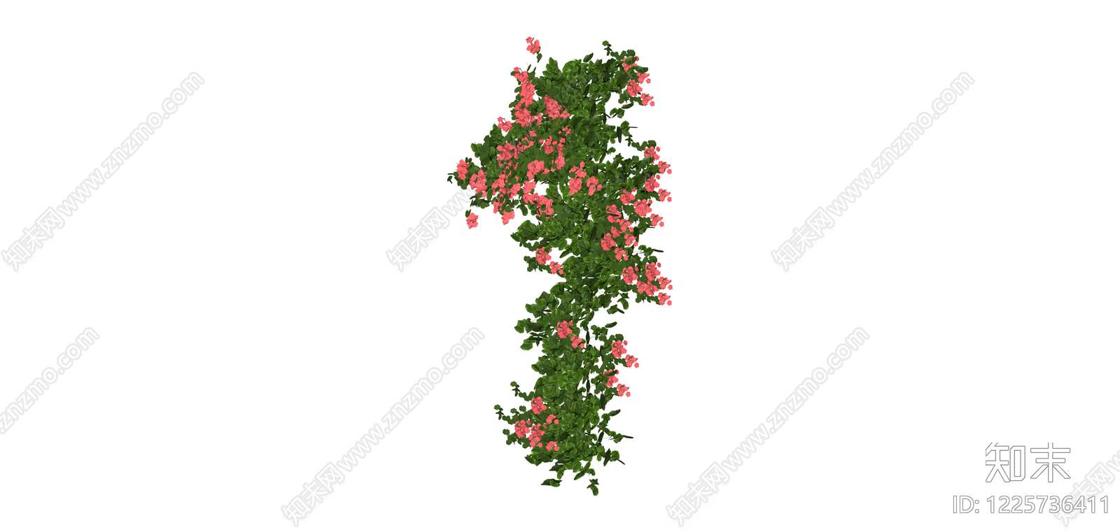 粉色花卉攀爬藤蔓SU模型下载【ID:1225736411】