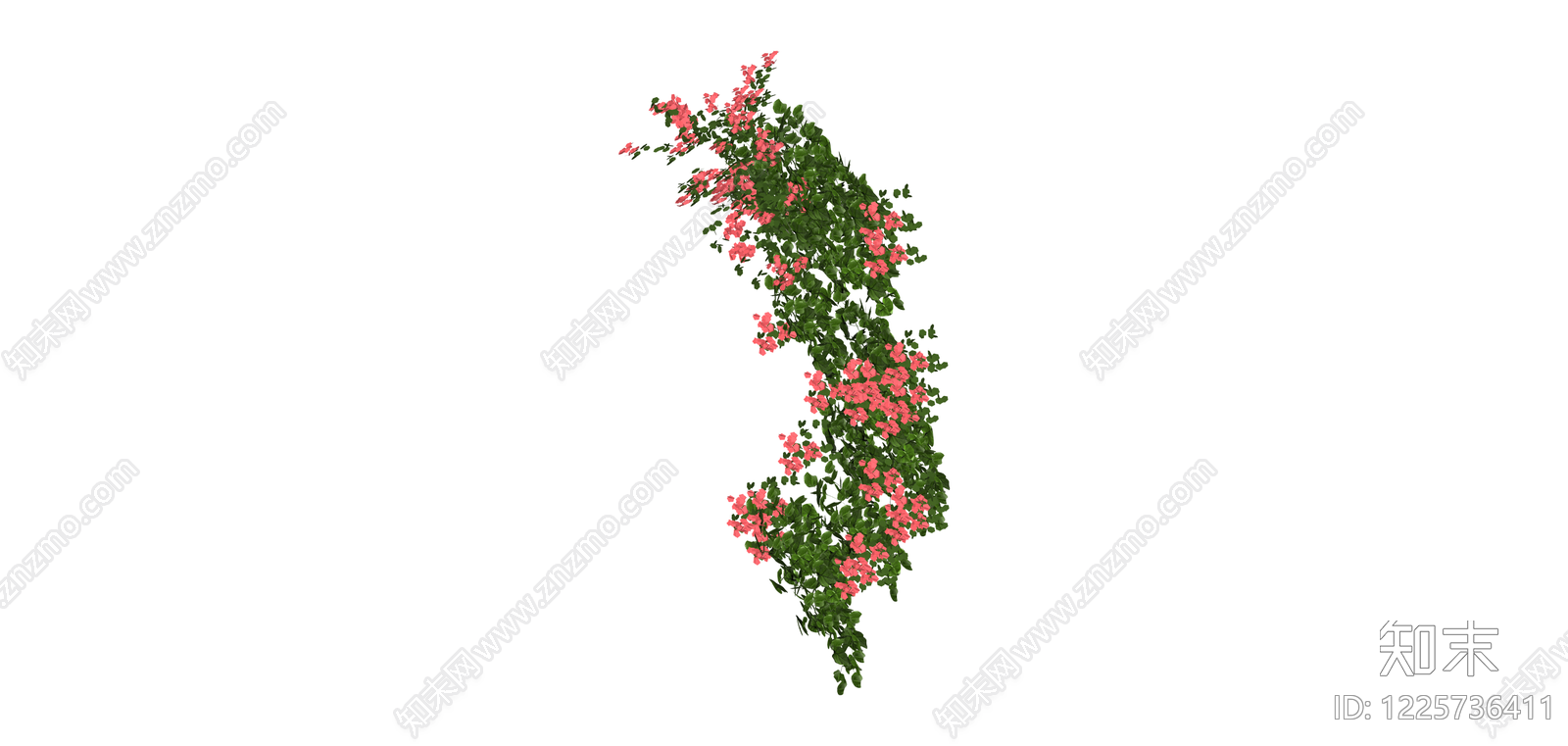 粉色花卉攀爬藤蔓SU模型下载【ID:1225736411】