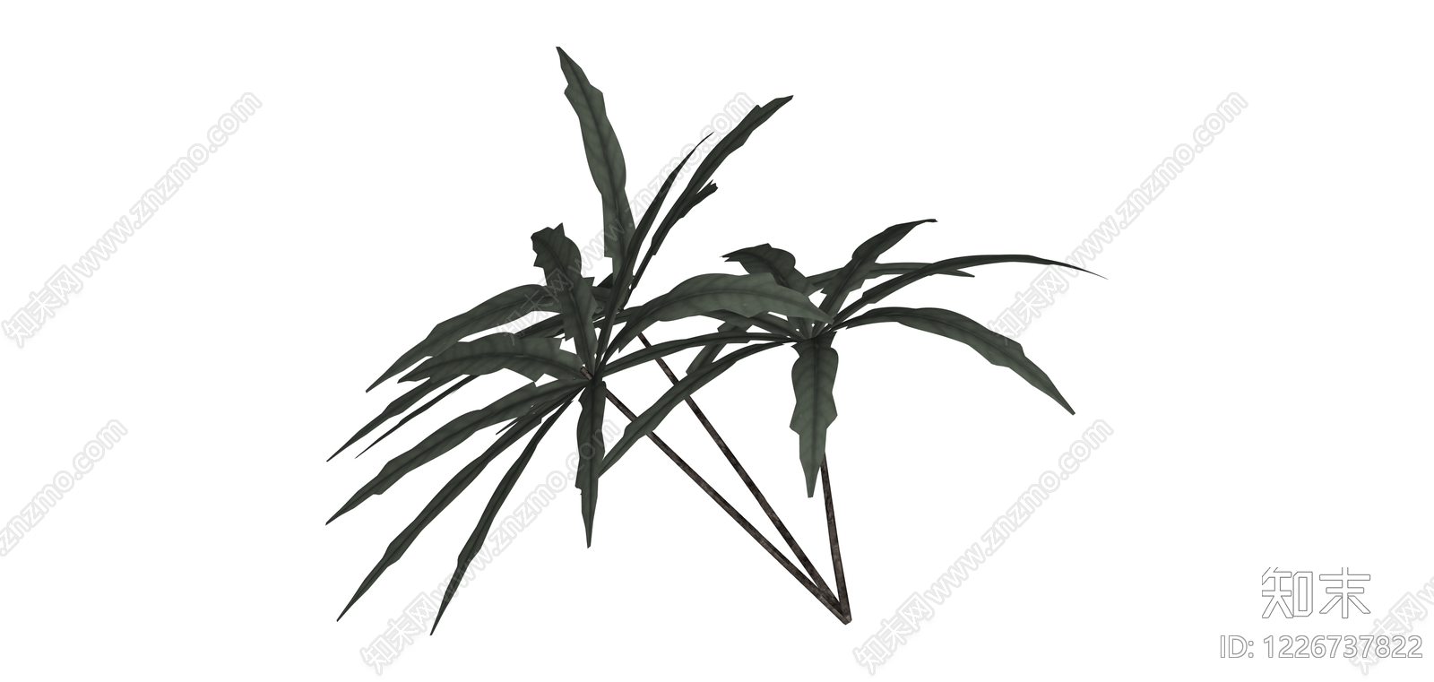 丛生散尾葵绿植模型SU模型下载【ID:1226737822】