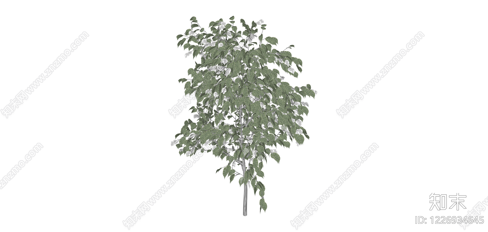 带盆完整树木SU模型下载【ID:1226934645】