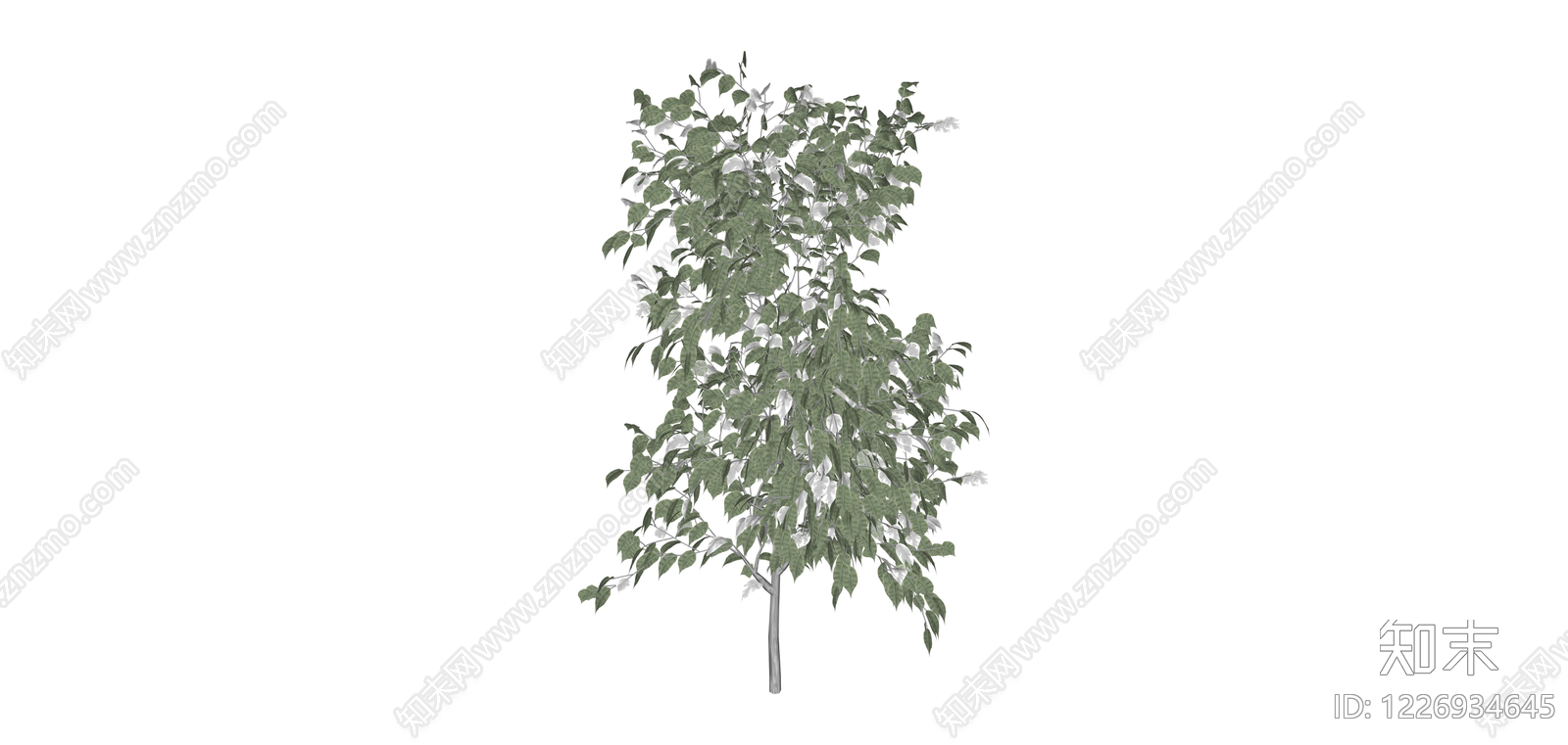 带盆完整树木SU模型下载【ID:1226934645】
